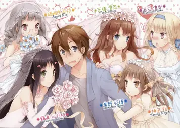 20 Of The Best Harem Anime Where MC is Surrounded by Girls