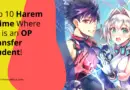 Harem Anime Where Mc is an OP Transfer Student